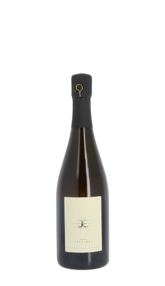 Champagne Salima & Alain Cordeuil, Origines 2020 Blanc 75cl