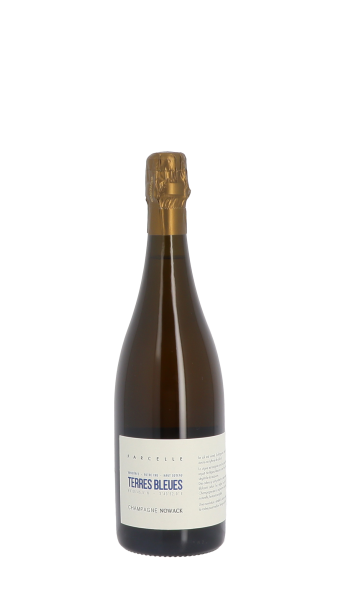 Domaine Nowack, Les Terres Bleues 2021 Blanc 75cl