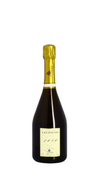 Champagne De Sousa, Caudalies 2010 Blanc 75cl