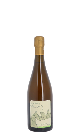 Champagne Thomas Perseval, Art'Terre 2021 Blanc 75cl