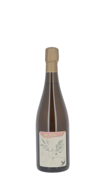 Champagne Thomas Perseval, La Pucelle 2021 Blanc 75cl