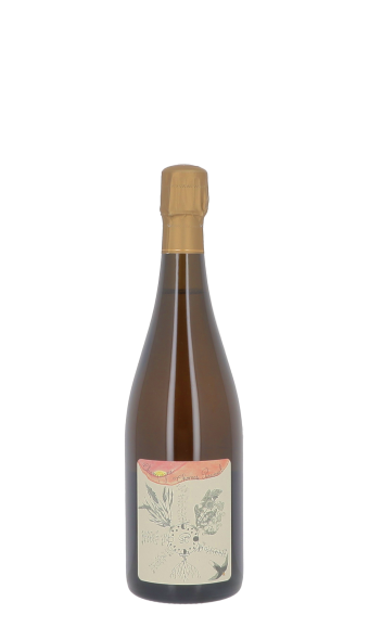 Champagne Thomas Perseval, La Pucelle 2021 Blanc 75cl