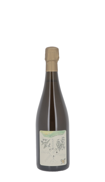 Champagne Thomas Perseval, Le Village 2020 Blanc 75cl