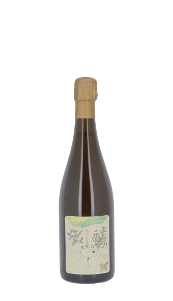 Champagne Thomas Perseval, Le Village 2020 Blanc 75cl