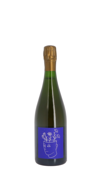 Stroebel Blc Blanc 75cl