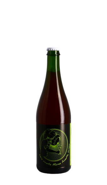 Brasserie des Voirons, bière vivante Mûres Anisette 75cl