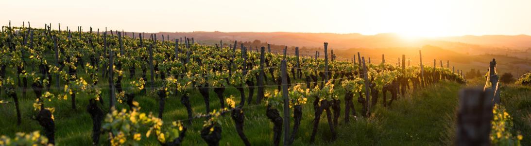 Domaine Boingnères