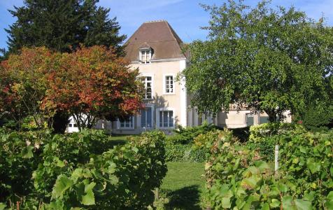 Champagne Jacquesson