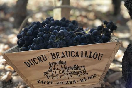 Château Ducru Beaucaillou