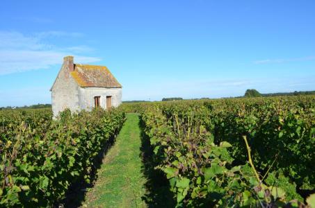 Domaine François Chidaine