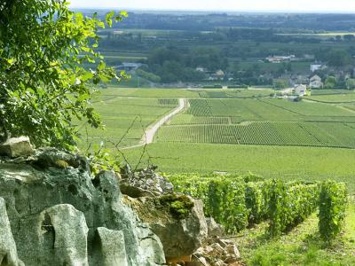 Domaine Leflaive