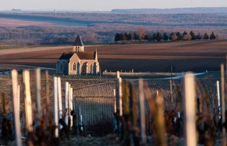 Domaine Pattes Loup