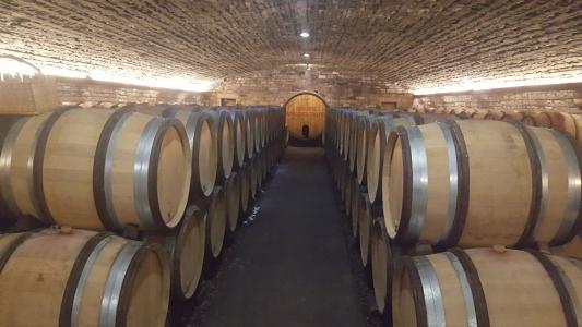 Domaine Rossignol-Trapet