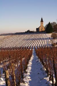 Domaine de la Bongran