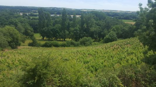 Domaine de La Coulée de Serrant