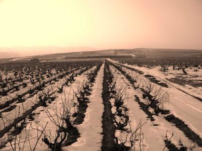 Domaine Louis Claude Desvignes