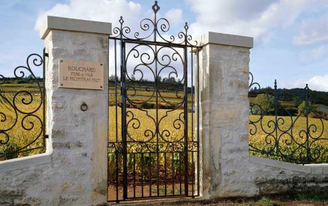 Domaine Bouchard Père et Fils