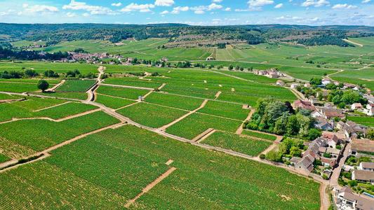 Domaine François Gaunoux