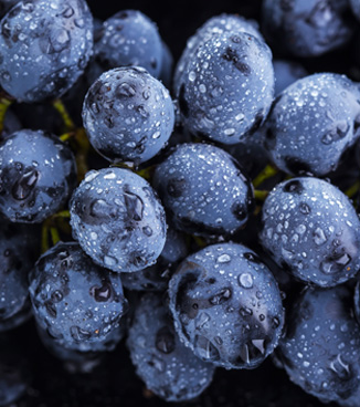 Bio & Biodynamic