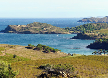 Languedoc Wines